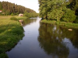 Sázava 12 P-Smrčná 25.5.08 (3).jpg